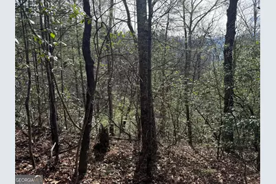 0 Mountain Lion Trail, Helen, GA 30545 - Photo 21