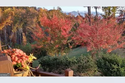 368 Ivy Log Heights Road, Young Harris, GA 30582 - Photo 71