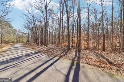 6050 Hickory Bend Drive, Douglasville, GA 30135 - Photo 9