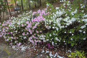 280 Northwoods Cir, Blairsville, GA 30512 - Photo 3