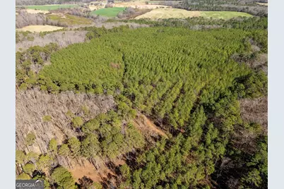 00 Quaker Springs Rd, Washington, GA 30673 - Photo 21