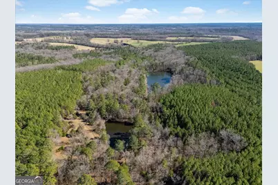 00 Quaker Springs Rd, Washington, GA 30673 - Photo 9