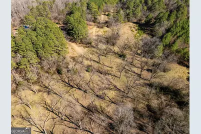 00 Quaker Springs Rd, Washington, GA 30673 - Photo 13