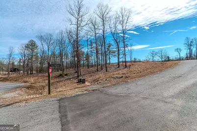 Lot 61 Ridges Drive, Blue Ridge, GA 30513 - Photo 15