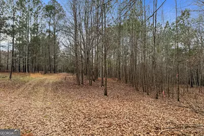 34.61 Acres Walker Road, Meansville, GA 30256 - Photo 17