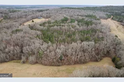 34.61 Acres Walker Road, Meansville, GA 30256 - Photo 7