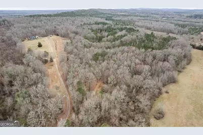 34.61 Acres Walker Road, Meansville, GA 30256 - Photo 5