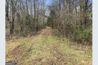34.61 Acres Walker Road, Meansville, GA 30256 - Photo 13