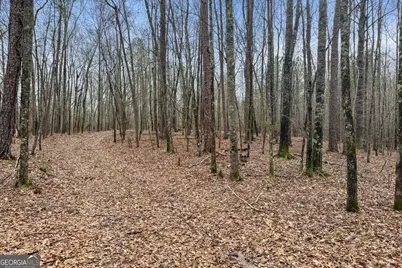 34.61 Acres Walker Road, Meansville, GA 30256 - Photo 15