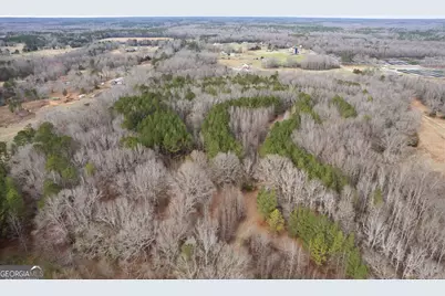 34.61 Acres Walker Road, Meansville, GA 30256 - Photo 9