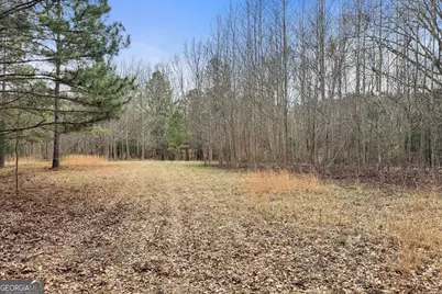 34.61 Acres Walker Road, Meansville, GA 30256 - Photo 19