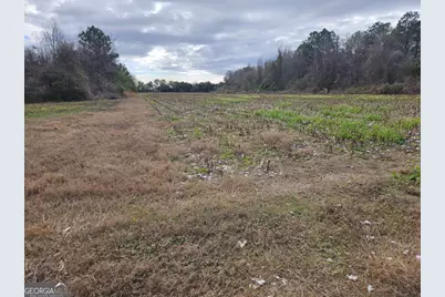 0 Garrett Road #N/A, Ashburn, GA 31714 - Photo 5