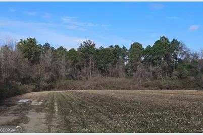 0 Garrett Road #N/A, Ashburn, GA 31714 - Photo 15