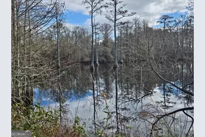 0 Garrett Road #N/A, Ashburn, GA 31714 - Photo 7