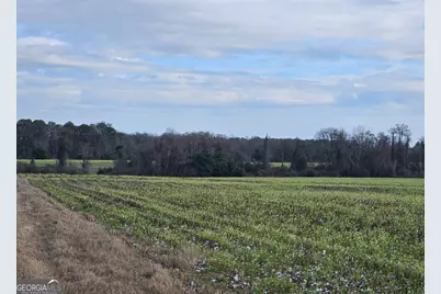 0 Garrett Road #N/A, Ashburn, GA 31714 - Photo 1