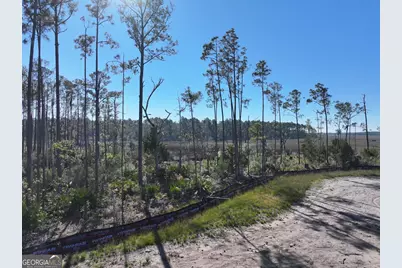 0 Richards Court, Saint Marys, GA 31558 - Photo 9