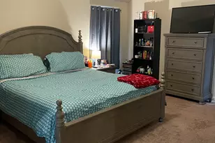 2021 Bridgewater Pass, Hampton, GA 30228 - Photo 11