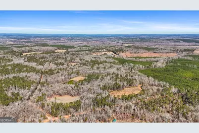 223 Eight Point Rd, Butler, GA 31006 - Photo 63