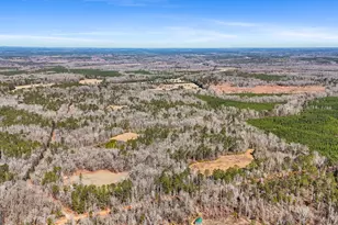 223 8 Point Rd, Butler, GA 31006 - Photo 63