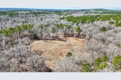 223 Eight Point Rd, Butler, GA 31006 - Photo 53