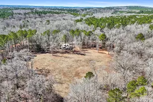 223 8 Point Rd, Butler, GA 31006 - Photo 53