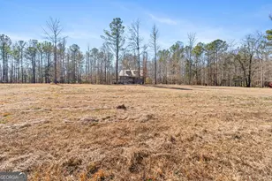 223 8 Point Rd, Butler, GA 31006 - Photo 27