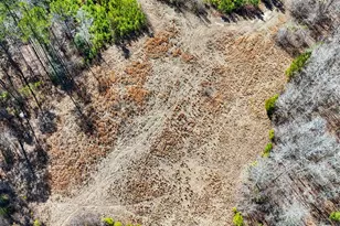 223 8 Point Rd, Butler, GA 31006 - Photo 47