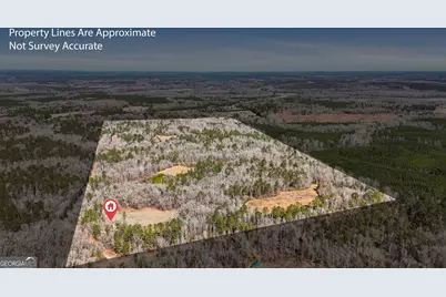 223 Eight Point Rd, Butler, GA 31006 - Photo 39