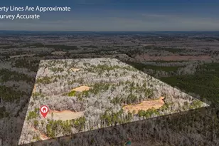 223 8 Point Rd, Butler, GA 31006 - Photo 39