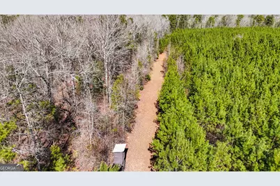 223 Eight Point Rd, Butler, GA 31006 - Photo 51