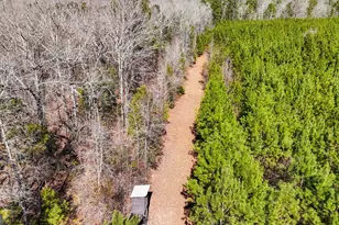 223 8 Point Rd, Butler, GA 31006 - Photo 51