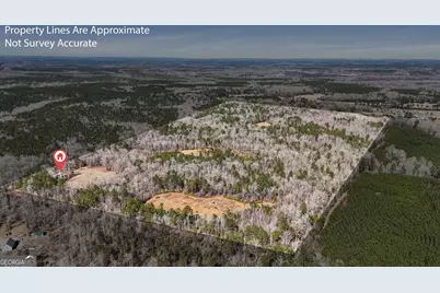 223 Eight Point Rd, Butler, GA 31006 - Photo 37