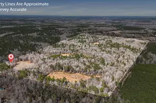 223 8 Point Rd, Butler, GA 31006 - Photo 37