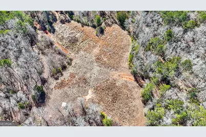 223 Eight Point Rd, Butler, GA 31006 - Photo 43