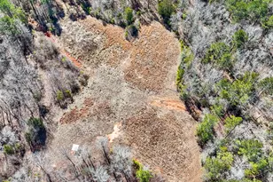 223 8 Point Rd, Butler, GA 31006 - Photo 43