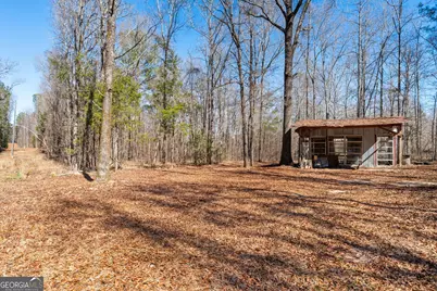 223 Eight Point Rd, Butler, GA 31006 - Photo 31