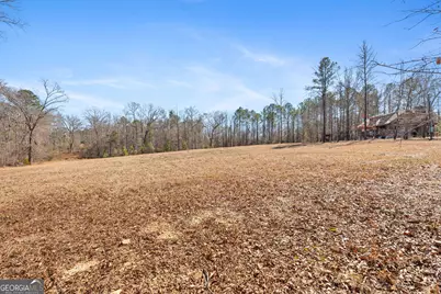 223 Eight Point Rd, Butler, GA 31006 - Photo 29