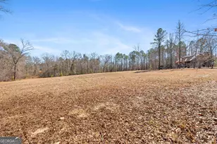 223 8 Point Rd, Butler, GA 31006 - Photo 29