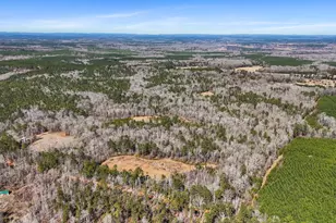 223 8 Point Rd, Butler, GA 31006 - Photo 61