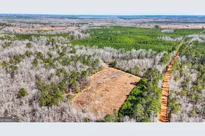 223 Eight Point Rd, Butler, GA 31006 - Photo 49