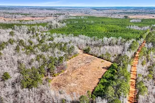 223 8 Point Rd, Butler, GA 31006 - Photo 49