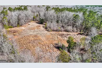 223 Eight Point Rd, Butler, GA 31006 - Photo 45