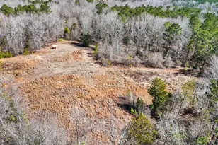 223 8 Point Rd, Butler, GA 31006 - Photo 45