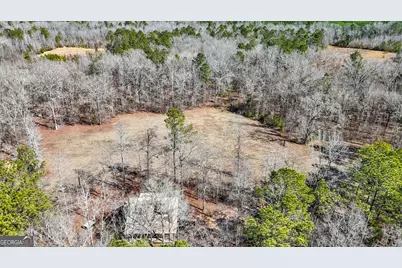 223 Eight Point Rd, Butler, GA 31006 - Photo 57