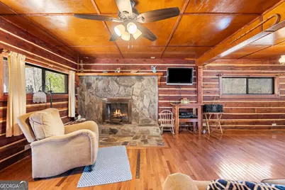 223 Eight Point Rd, Butler, GA 31006 - Photo 5