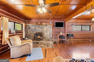 223 8 Point Rd, Butler, GA 31006 - Photo 5