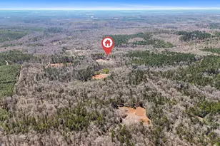 223 8 Point Rd, Butler, GA 31006 - Photo 41