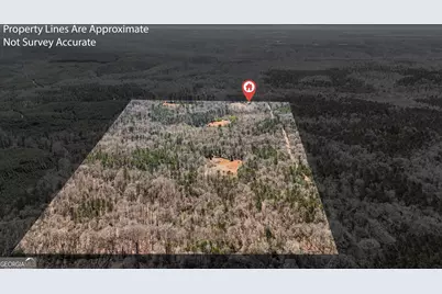 223 Eight Point Rd, Butler, GA 31006 - Photo 35