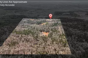 223 8 Point Rd, Butler, GA 31006 - Photo 35