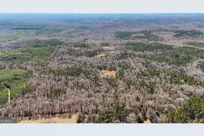 223 Eight Point Rd, Butler, GA 31006 - Photo 59